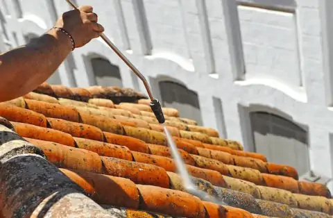 Démoussage de toiture à Blanquefort